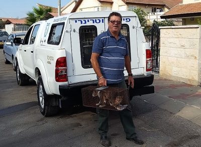 הפקח הוטרינרי יהודה בן עמרם עם כלוב חתולים (1)