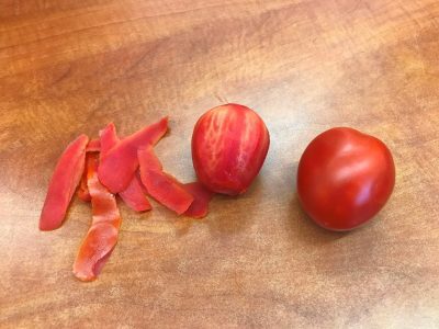 עגבנית דורה של הזרע