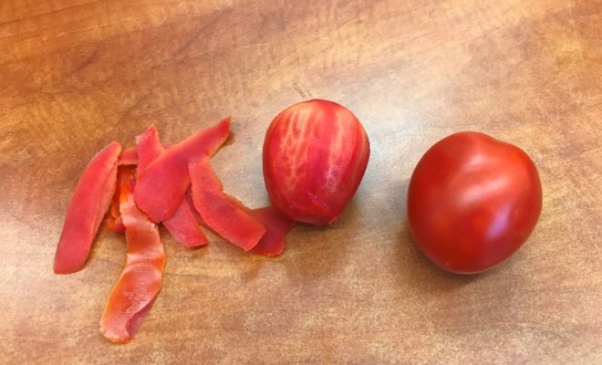 עגבנית דורה של הזרע