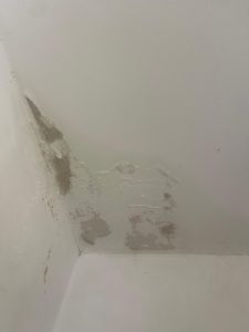 איתור נזילות באמצעות מצלמה טרמית