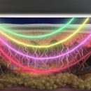 Biotech Animation