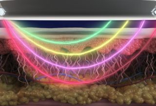 Biotech Animation